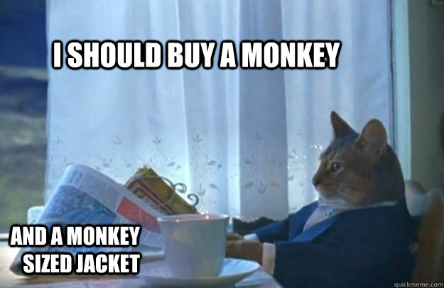 i should buy a monkey and a monkey sized jacket - Sophisticated Cat