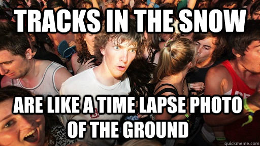 tracks in the snow are like a time lapse photo of the ground - Sudden Clarity Clarence