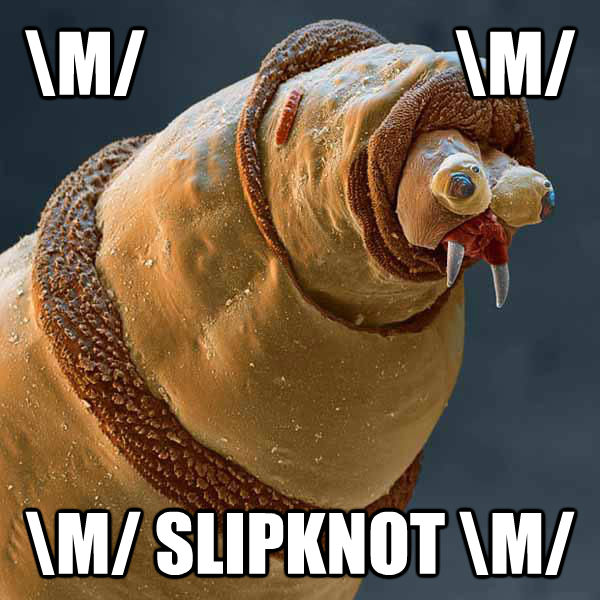 quickmeme - Faggot Maggot