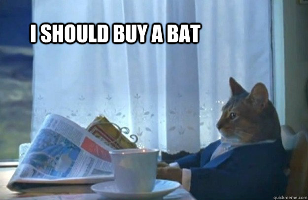 i should buy a bat - Sophisticated Cat