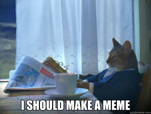 i should make a meme - The One Percent Cat