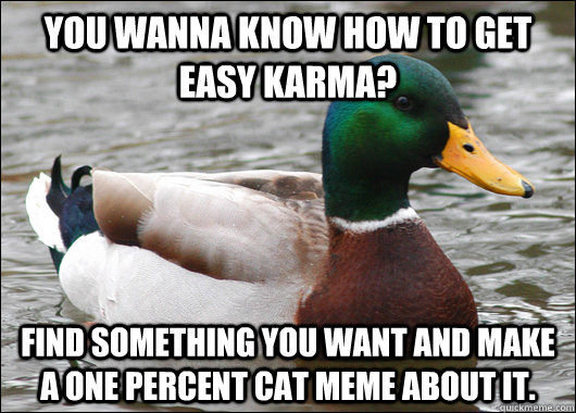 you wanna know how to get easy karma find something you wan - Actual Advice Mallard