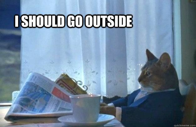 i should go outside - Sophisticated Cat