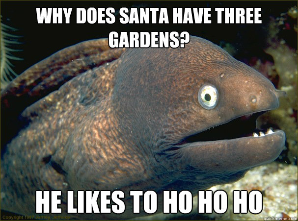 why does santa have three gardens he likes to ho ho ho - Bad Joke Eel