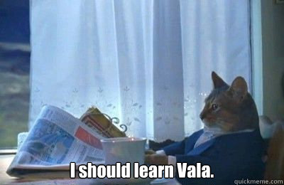 i should learn vala - I should buy a bike