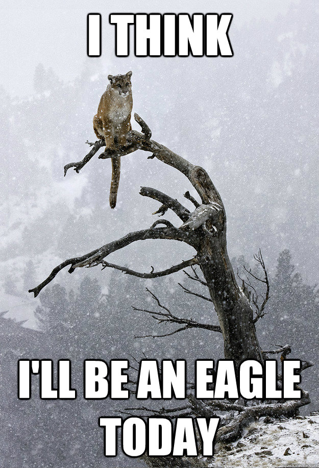 i think ill be an eagle today -