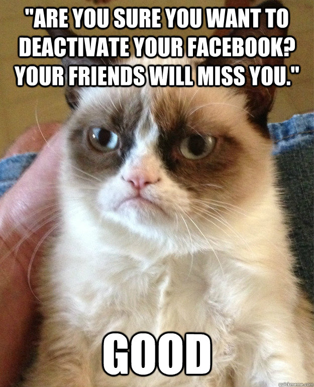 are you sure you want to deactivate your facebook your fri - Grumpy Cat