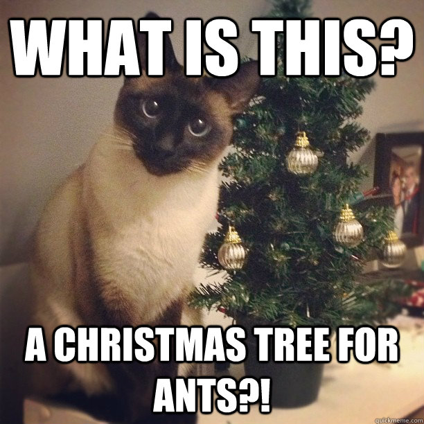 what is this a christmas tree for ants -