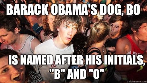 Barack Obamas Dog Bo is named after his initials B and O - Sudden Clarity Clarence