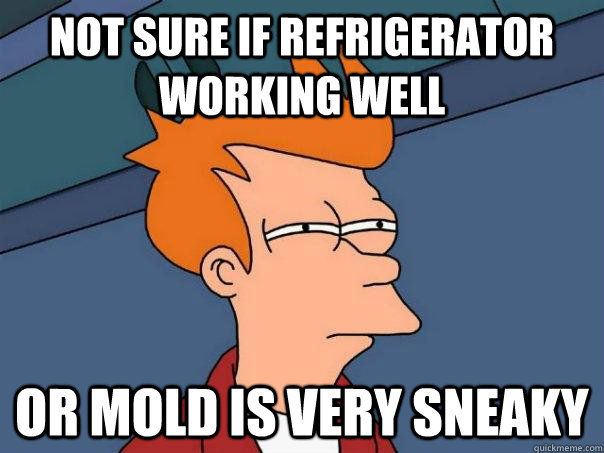 not sure if refrigerator working well or mold is very sneaky - Futurama Fry
