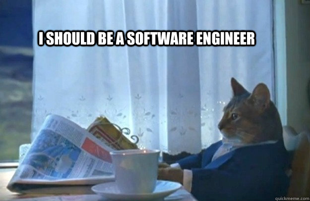 i should be a software engineer - Sophisticated Cat