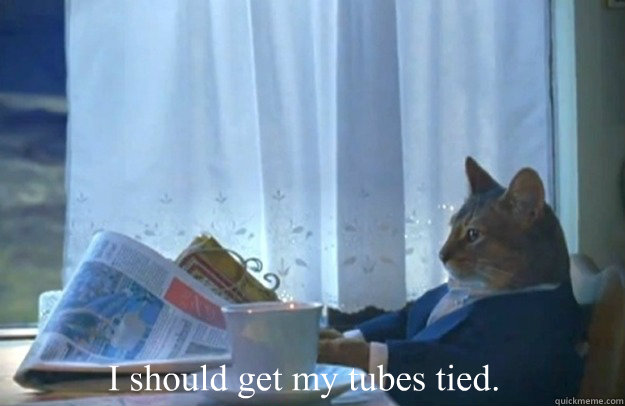 i should get my tubes tied - Sophisticated Cat
