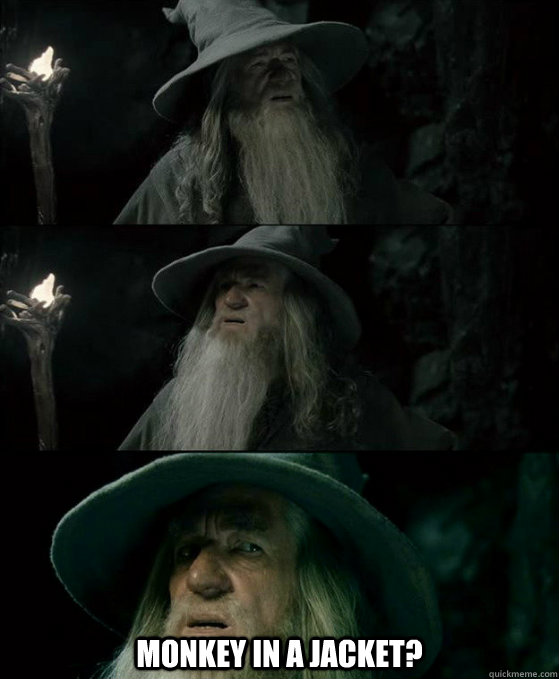 monkey in a jacket - Confused Gandalf