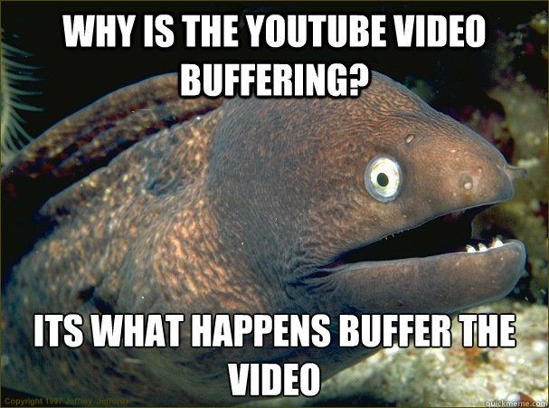 why is the youtube video buffering its what happens buffer - Bad Joke Eel