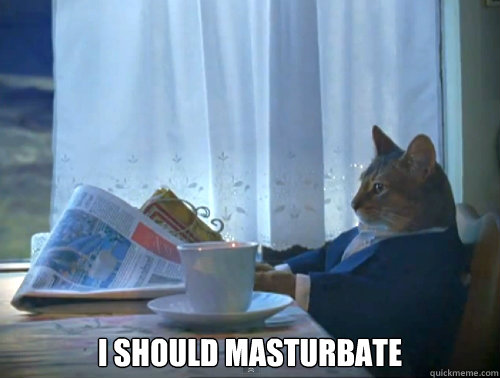 i should masturbate - The One Percent Cat
