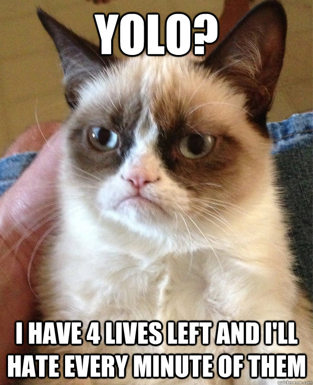 yolo i have 4 lives left and ill hate every minute of them - grumpy cat