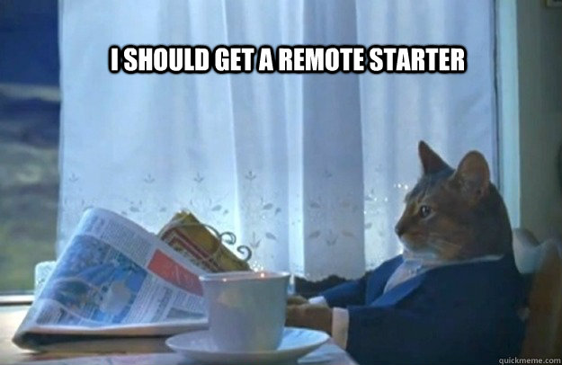 i should get a remote starter - Sophisticated Cat