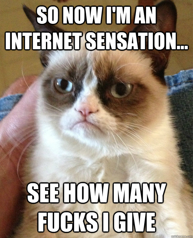 so now im an internet sensation see how many fucks i giv - Grumpy Cat