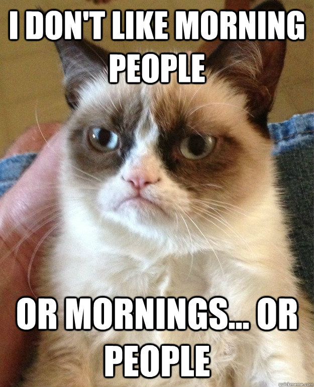 i dont like morning people or mornings or people - Grumpy Cat