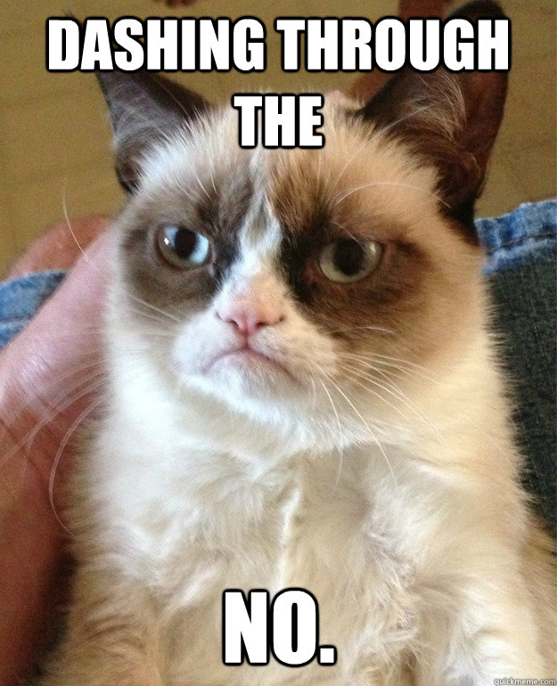 dashing through the no - Grumpy Cat