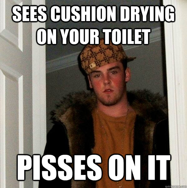 sees cushion drying on your toilet pisses on it - Scumbag Steve