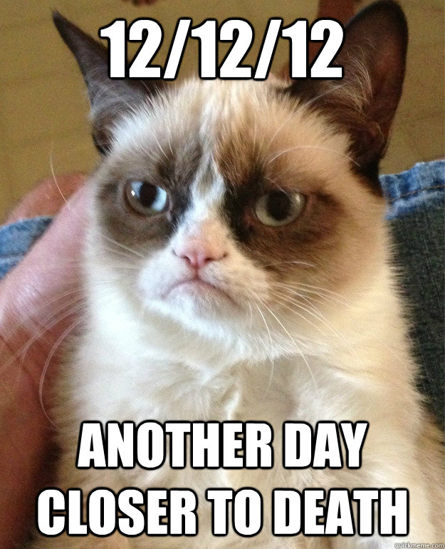 121212 another day closer to death - Grumpy cat