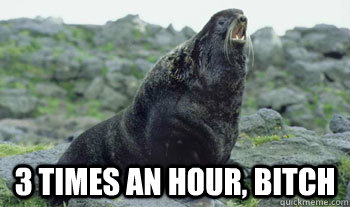 3 times an hour bitch - Virility Seal