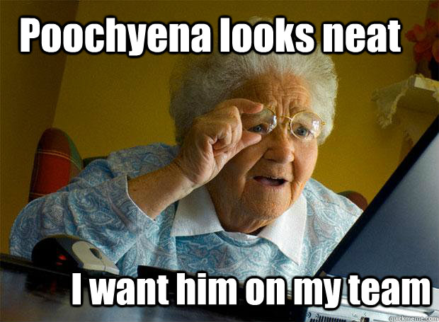 poochyena looks neat i want him on my team - Grandma finds the Internet