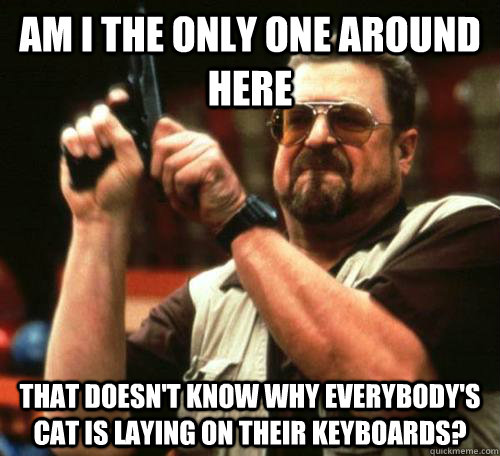 am i the only one around here that doesnt know why everybod - am i the only one around here