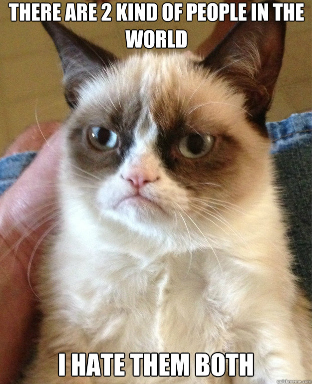 there are 2 kind of people in the world i hate them both - Grumpy Cat