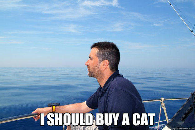 i should buy a cat -
