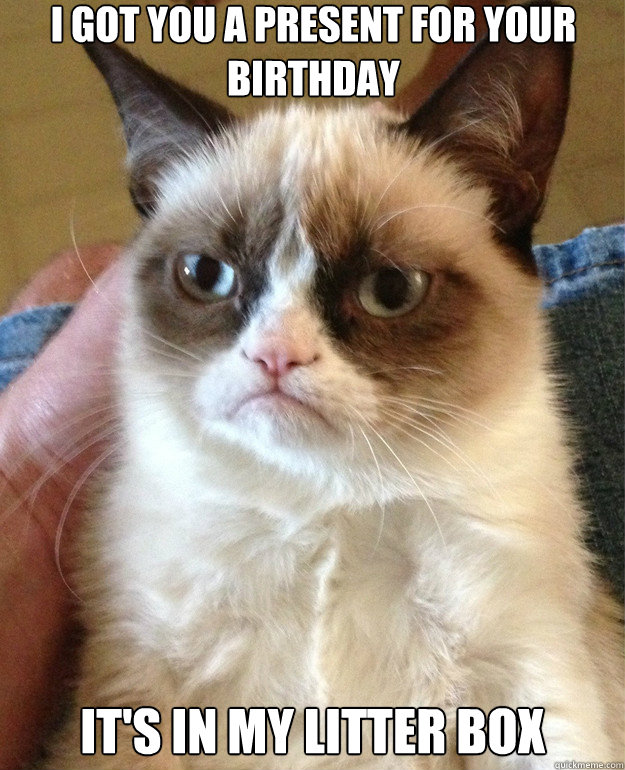 i got you a present for your birthday its in my litter box - Grumpy Cat