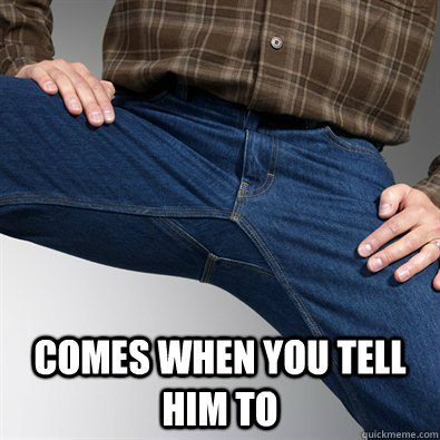 comes when you tell him to - Scumbag Penis