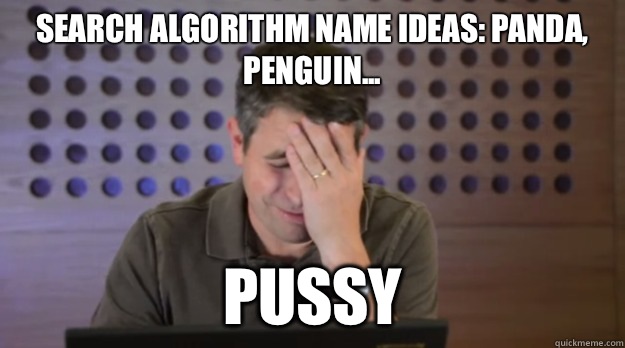 Search algorithm name ideas Panda Penguin Pussy - Facepalm Matt Cutts