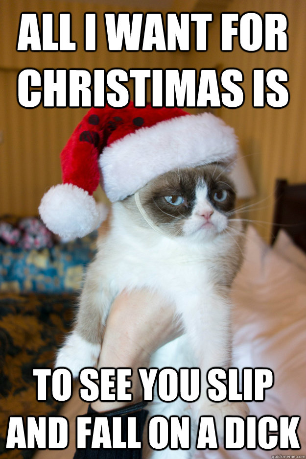 all i want for christimas is to see you slip and fall on a d - Grumpy xmas