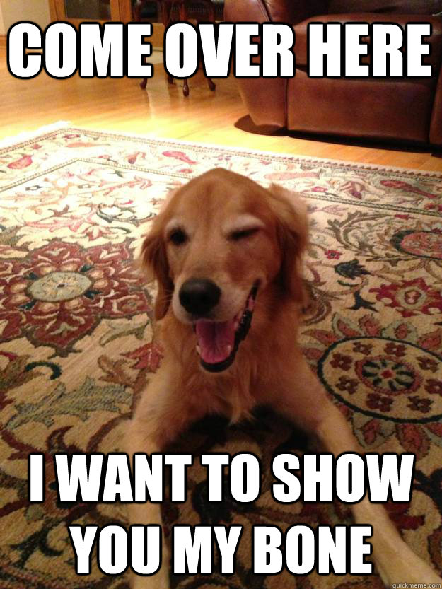 come over here i want to show you my bone - Smooth Move Dog