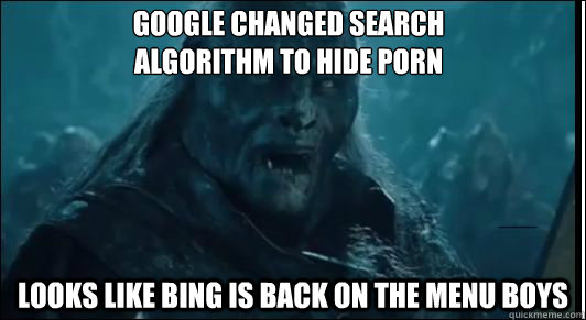google changed search algorithm to hide porn looks like bin -