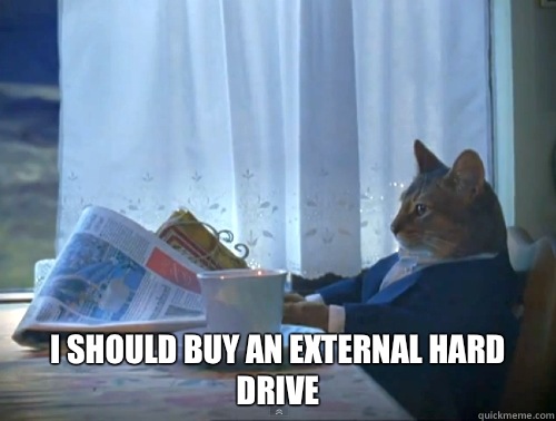 I should buy an external hard drive - The One Percent Cat