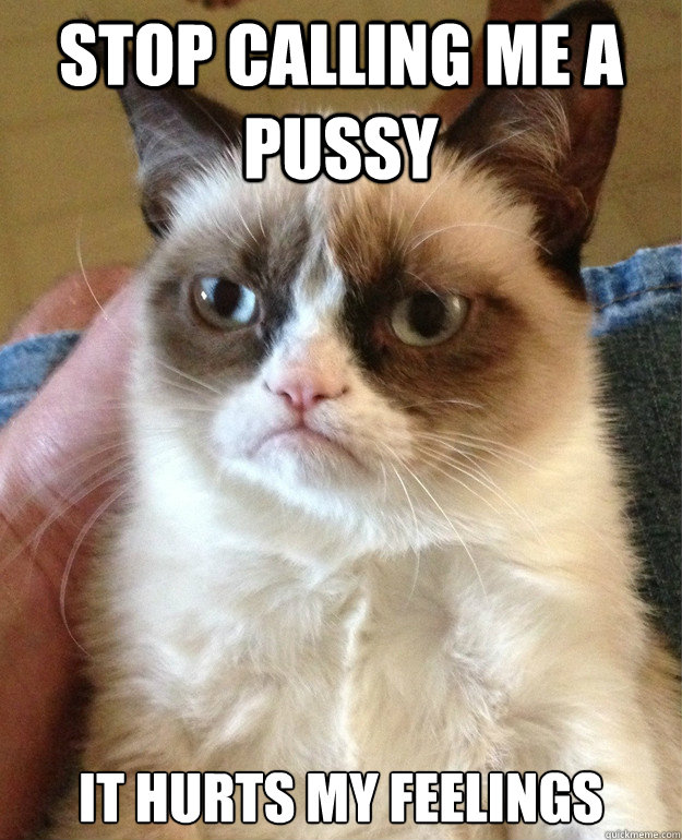 stop calling me a pussy it hurts my feelings caption 3 goes - Grumpy Cat