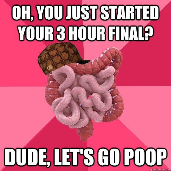 oh you just started your 3 hour final dude lets go poop - Scumbag Intestines
