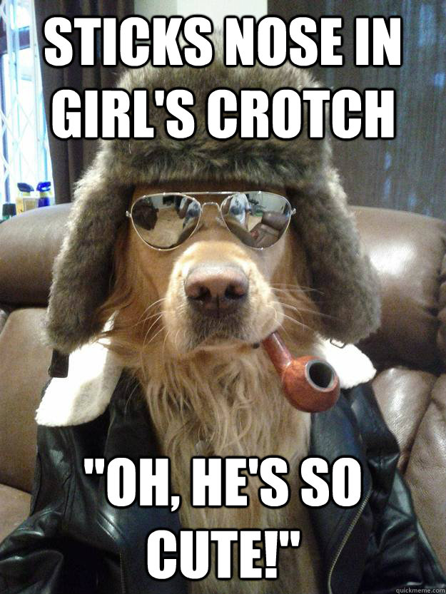 sticks nose in girls crotch oh hes so cute - Overly Suave Dog