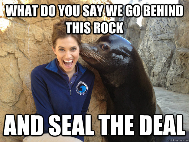 what do you say we go behind this rock and seal the deal - Crazy Secret