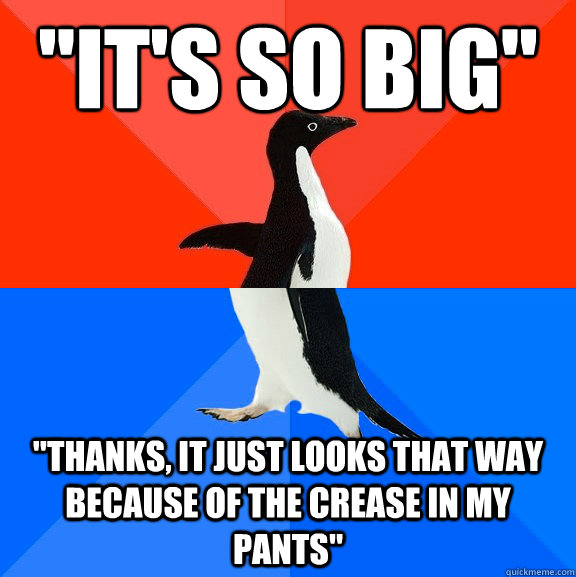 its so big thanks it just looks that way because of the - Socially Awesome Awkward Penguin
