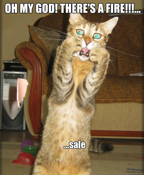 sale oh my god theres a fire - Aghast Cat Pounce