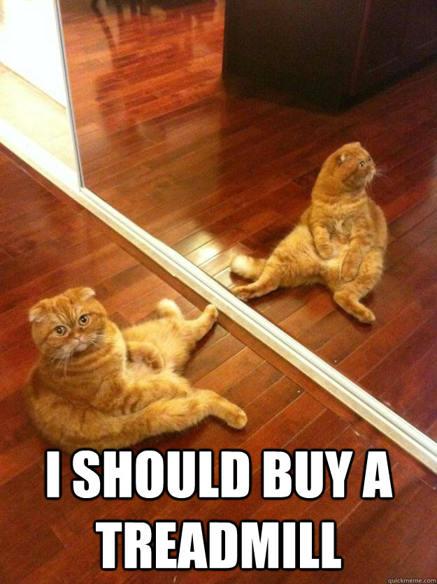 i should buy a treadmill - Fat cat