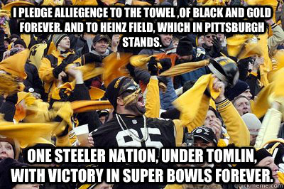 i pledge alliegence to the towel of black and gold forever -
