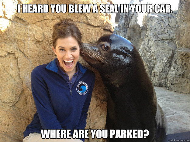 i heard you blew a seal in your car where are you parked - Crazy Secret