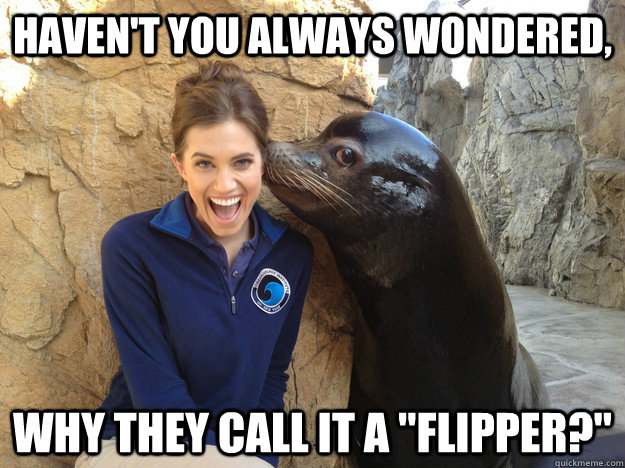 havent you always wondered why they call it a flipper - Crazy Secret