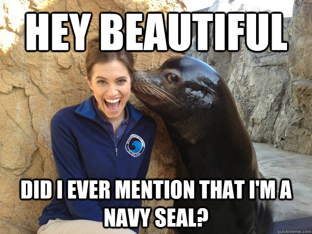 hey beautiful did i ever mention that im a navy seal - Crazy Secret