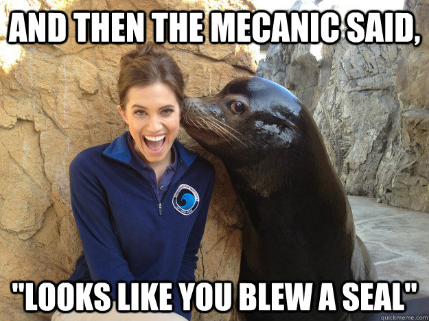 and then the mecanic said looks like you blew a seal - Crazy Secret